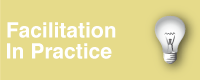 facilitation in practice